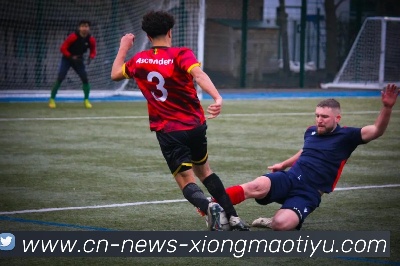 杰伦布朗坚定信念从未缺席季后赛深知球队潜力与实力